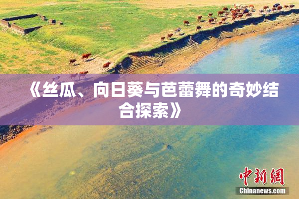 《丝瓜、向日葵与芭蕾舞的奇妙结合探索》
