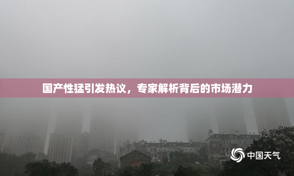 国产性猛引发热议，专家解析背后的市场潜力