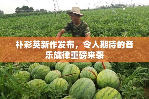 朴彩英新作发布，令人期待的音乐旋律重磅来袭