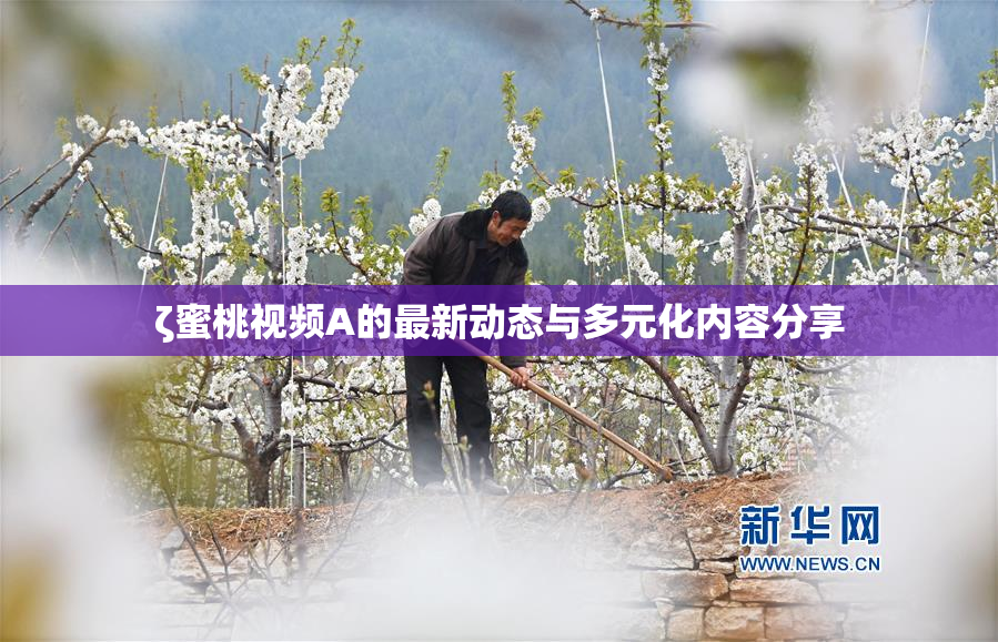 ζ蜜桃视频A的最新动态与多元化内容分享