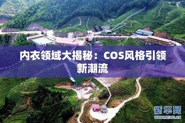 内衣领域大揭秘：COS风格引领新潮流