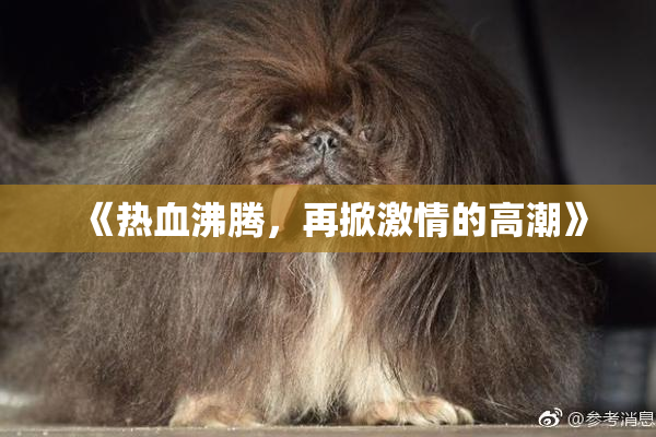 《热血沸腾，再掀激情的高潮》