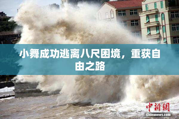 小舞成功逃离八尺困境，重获自由之路