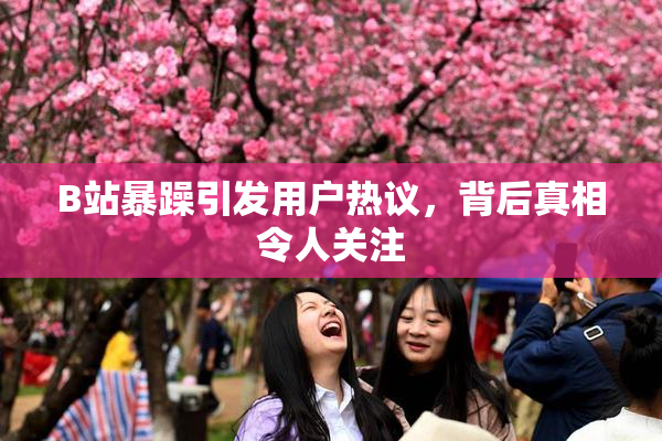 B站暴躁引发用户热议，背后真相令人关注