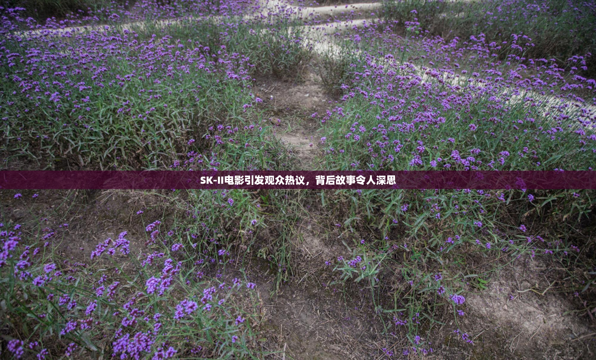 SK-II电影引发观众热议，背后故事令人深思