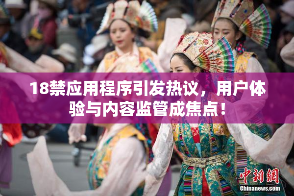 18禁应用程序引发热议，用户体验与内容监管成焦点！