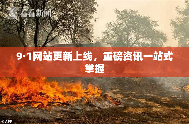 9·1网站更新上线，重磅资讯一站式掌握