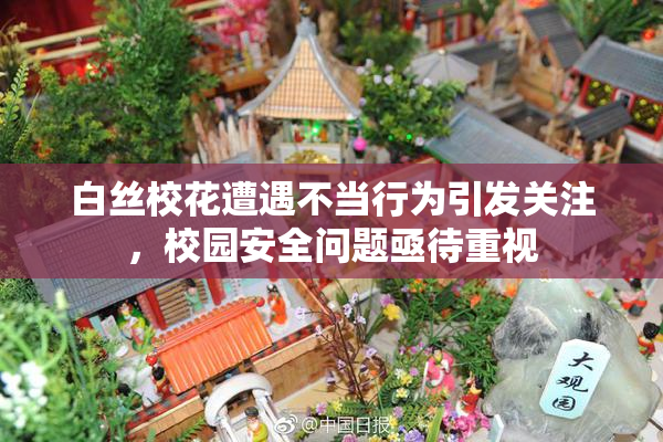 白丝校花遭遇不当行为引发关注，校园安全问题亟待重视