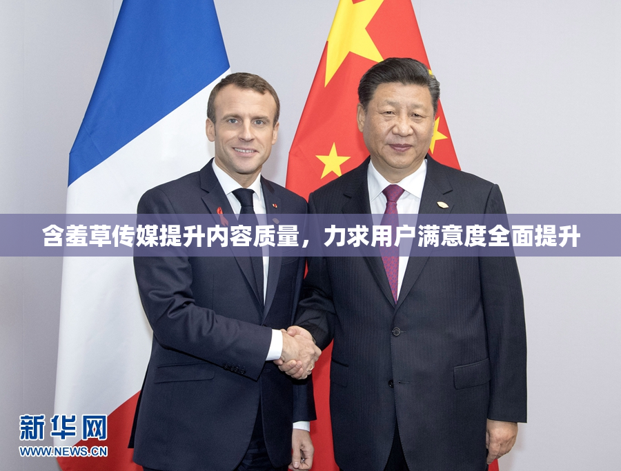 含羞草传媒提升内容质量，力求用户满意度全面提升