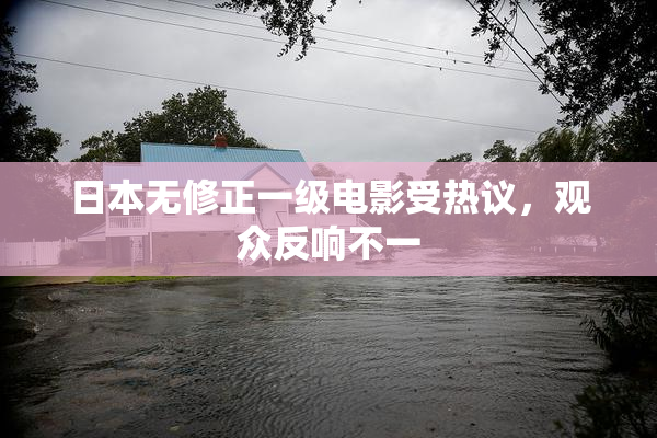日本无修正一级电影受热议，观众反响不一