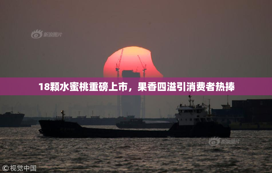 18颗水蜜桃重磅上市，果香四溢引消费者热捧
