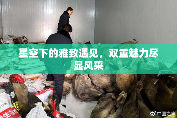 星空下的雅致遇见，双重魅力尽显风采