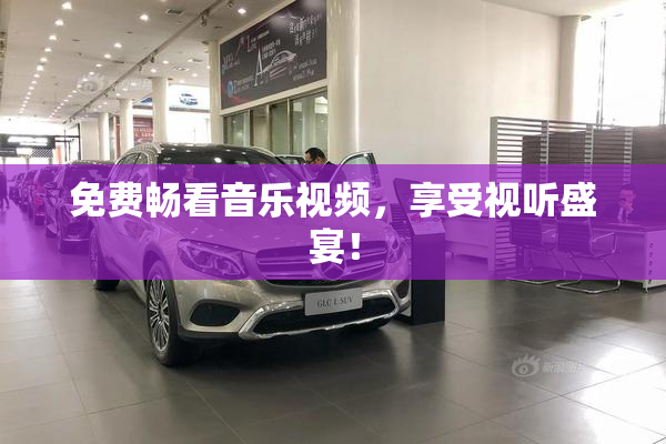 免费畅看音乐视频，享受视听盛宴！