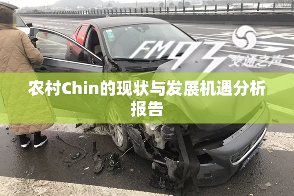 农村Chin的现状与发展机遇分析报告