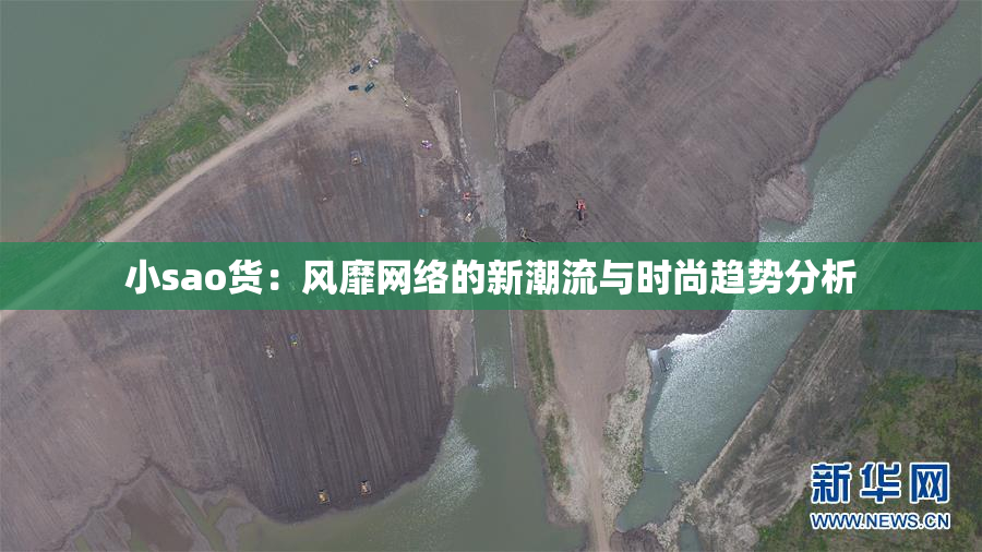 小sao货：风靡网络的新潮流与时尚趋势分析