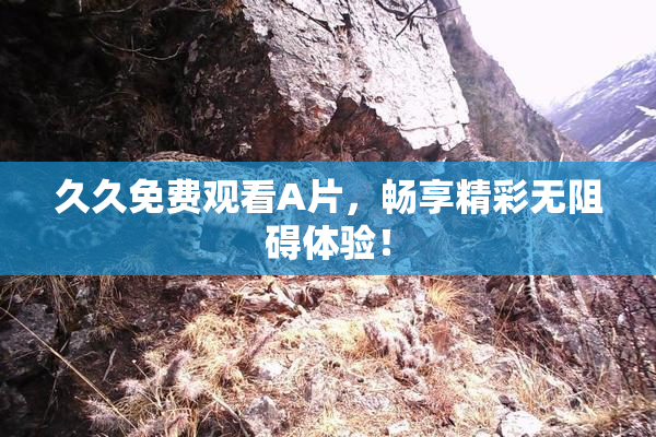 久久免费观看A片，畅享精彩无阻碍体验！