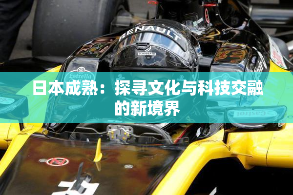 日本成熟：探寻文化与科技交融的新境界