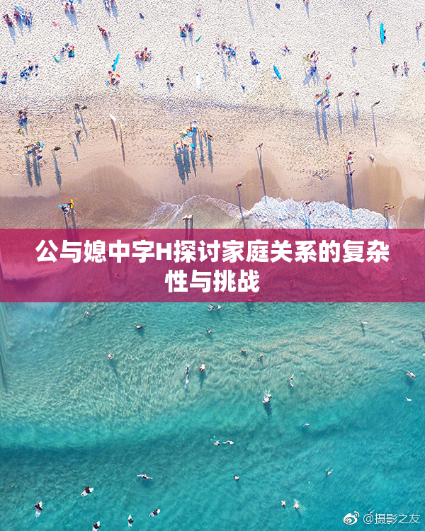 公与媳中字H探讨家庭关系的复杂性与挑战