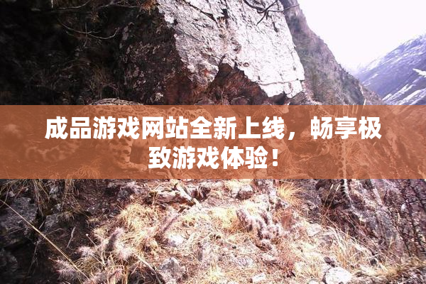 成品游戏网站全新上线，畅享极致游戏体验！