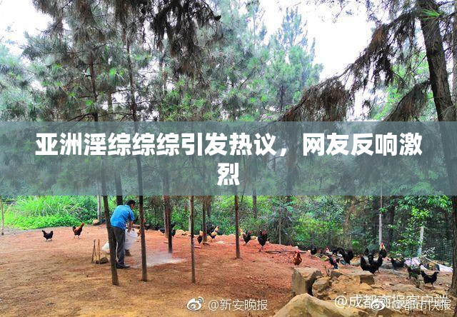 亚洲淫综综综引发热议，网友反响激烈