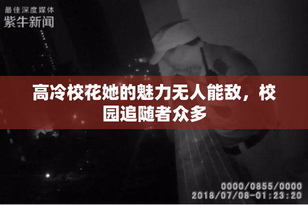 高冷校花她的魅力无人能敌，校园追随者众多