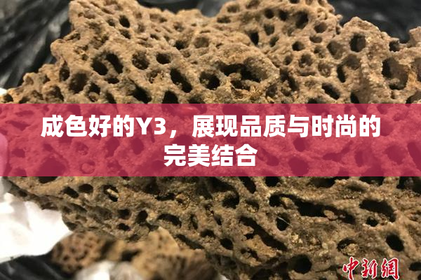 成色好的Y3，展现品质与时尚的完美结合