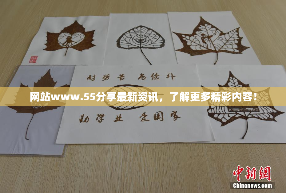 网站www.55分享最新资讯，了解更多精彩内容！
