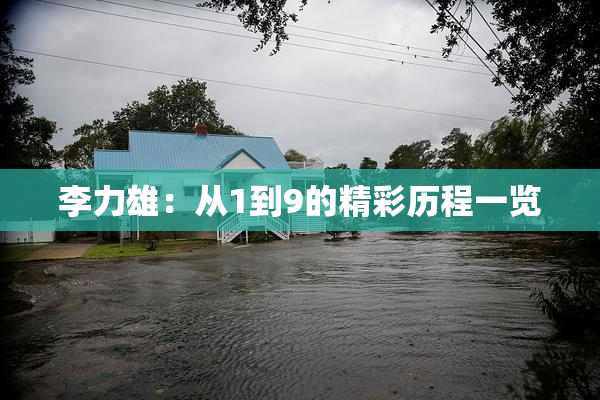 李力雄：从1到9的精彩历程一览