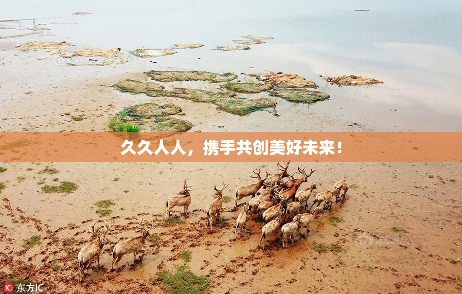 久久人人，携手共创美好未来！