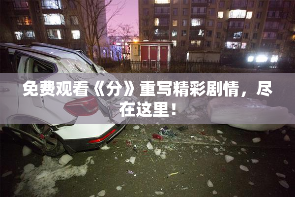 免费观看《分》重写精彩剧情，尽在这里！