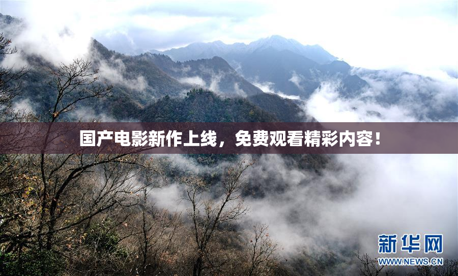 国产电影新作上线，免费观看精彩内容！