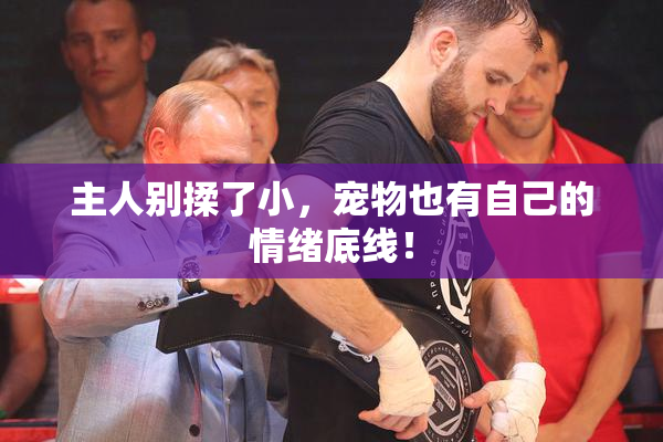 主人别揉了小，宠物也有自己的情绪底线！