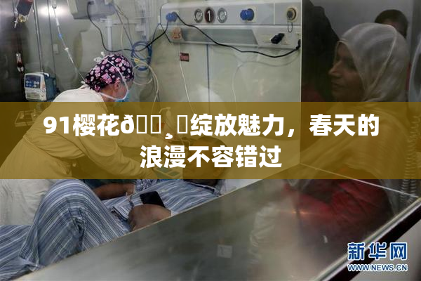91樱花🌸‌绽放魅力，春天的浪漫不容错过
