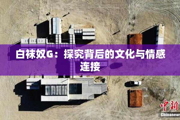 白袜奴G：探究背后的文化与情感连接