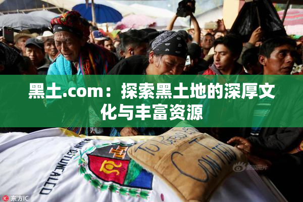 黑土.com：探索黑土地的深厚文化与丰富资源