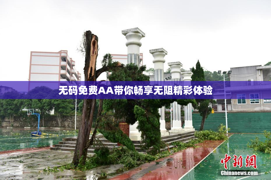 无码免费AA带你畅享无阻精彩体验