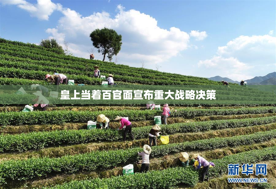 皇上当着百官面宣布重大战略决策