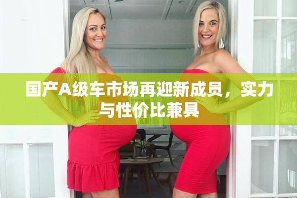 国产A级车市场再迎新成员，实力与性价比兼具
