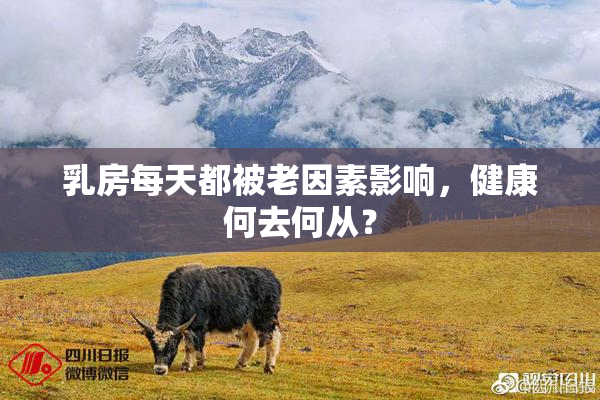 乳房每天都被老因素影响，健康何去何从？
