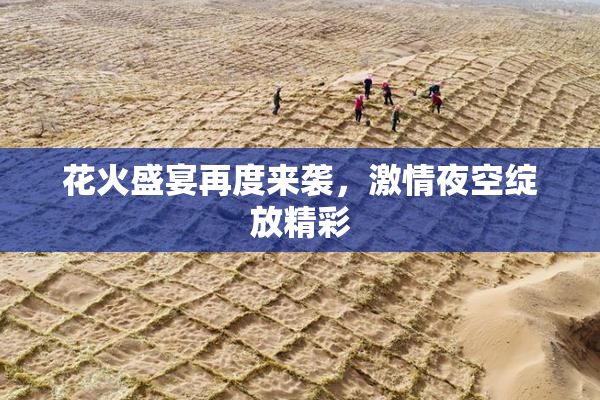 花火盛宴再度来袭，激情夜空绽放精彩