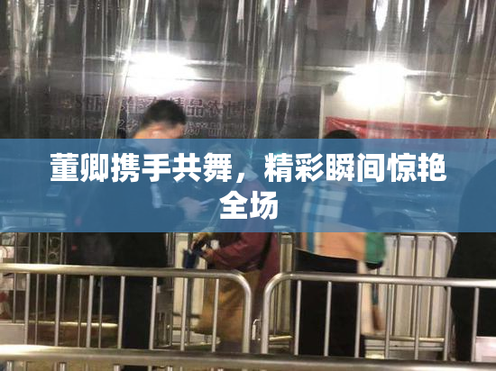 董卿携手共舞，精彩瞬间惊艳全场