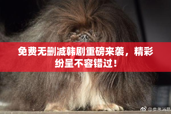 免费无删减韩剧重磅来袭，精彩纷呈不容错过！