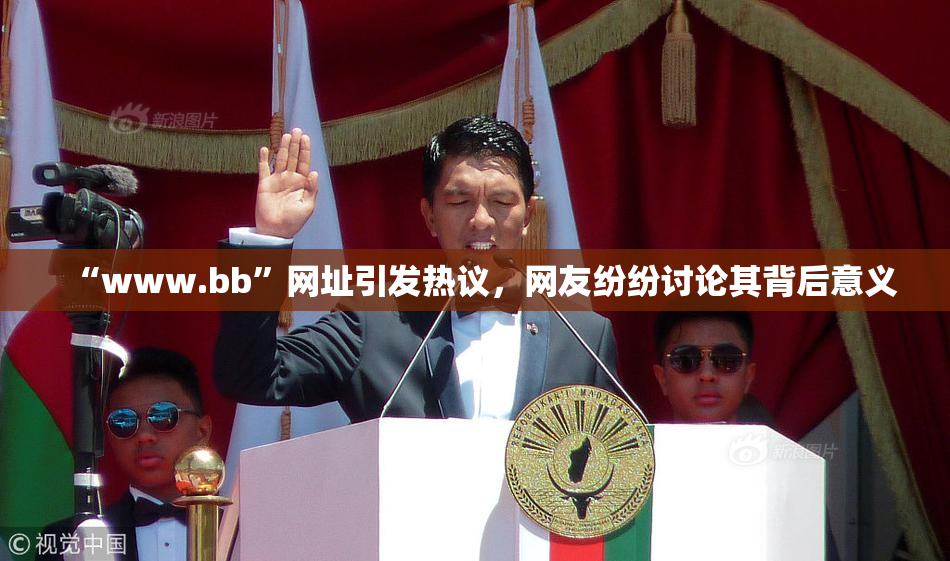 “www.bb”网址引发热议，网友纷纷讨论其背后意义