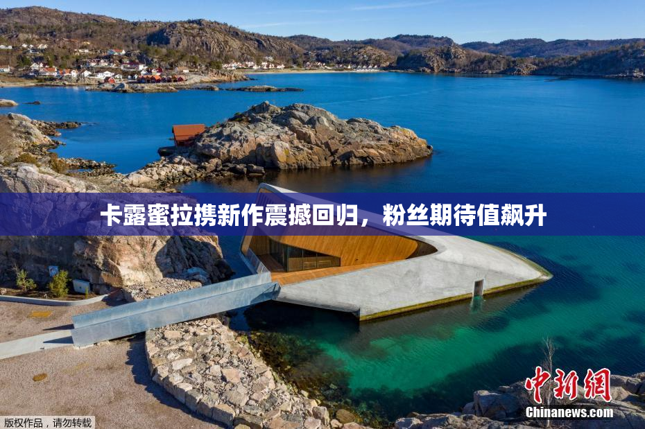 卡露蜜拉携新作震撼回归，粉丝期待值飙升