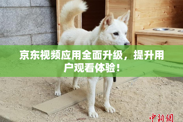 京东视频应用全面升级，提升用户观看体验！