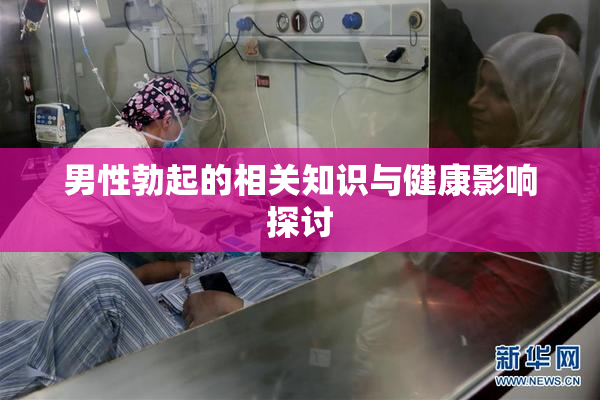 男性勃起的相关知识与健康影响探讨