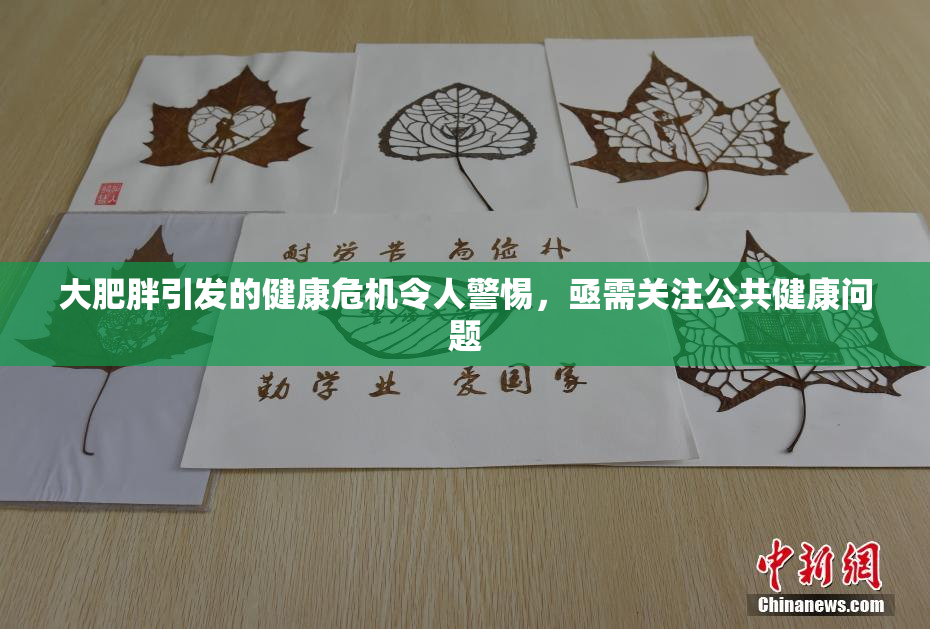 大肥胖引发的健康危机令人警惕，亟需关注公共健康问题