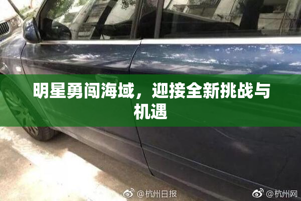 明星勇闯海域，迎接全新挑战与机遇