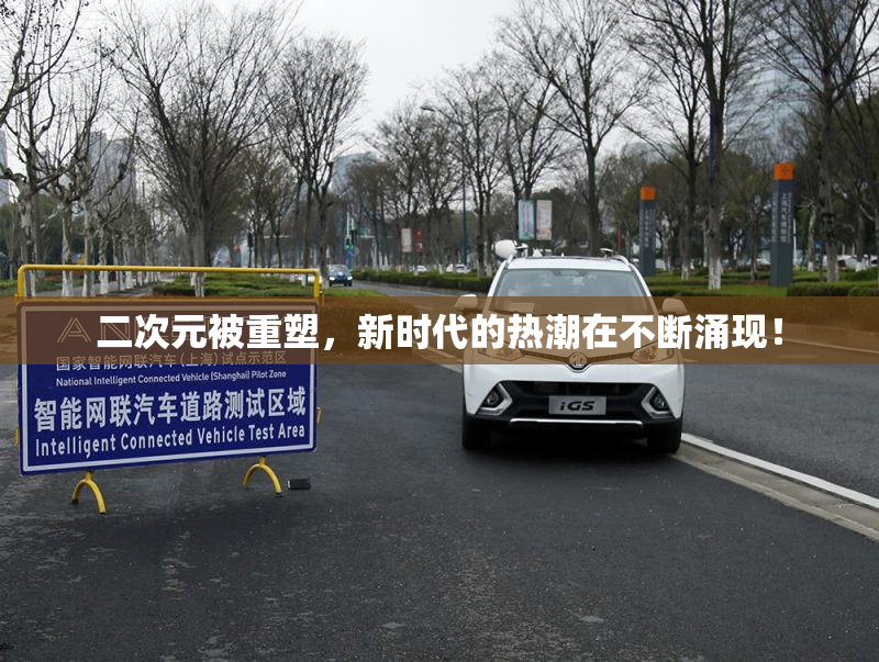 二次元被重塑，新时代的热潮在不断涌现！