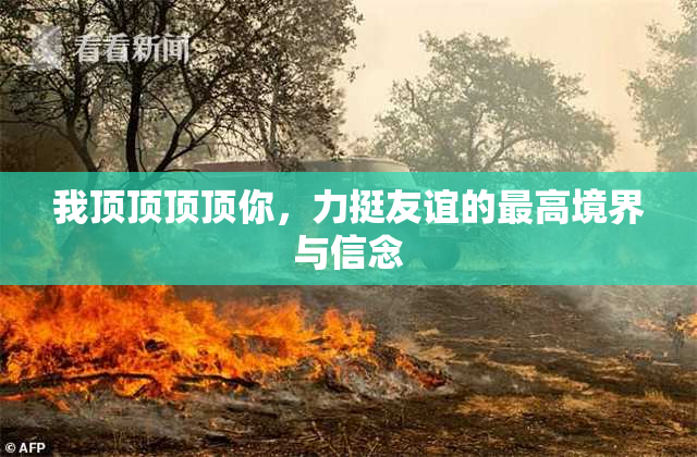 我顶顶顶顶你，力挺友谊的最高境界与信念